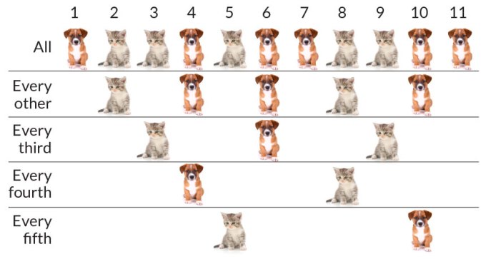 puppies and kittens chart