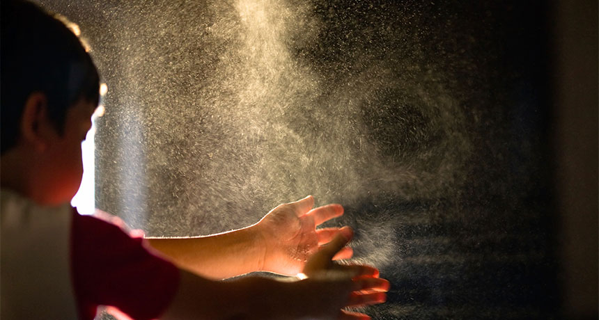 cloud of dust and bacteria