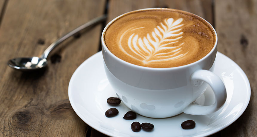 Coffee reveals itself as an unlikely elixir