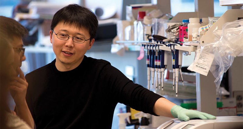 Feng Zhang in his laboratory