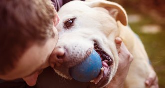dog with ball snuggles with human