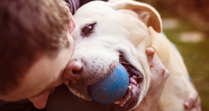 dog with ball snuggles with human