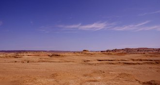 arid drylands