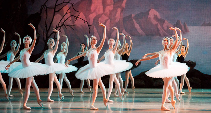 Dancers performing Swan Lake