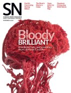 Cover of Nov. 14, 2015 issue