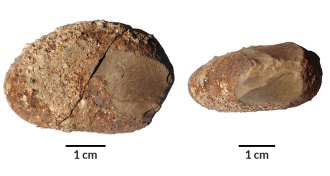 stone tool from Monte Verde