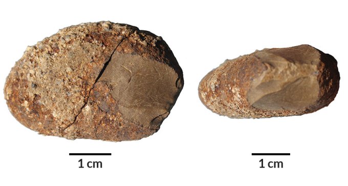 stone tool from Monte Verde