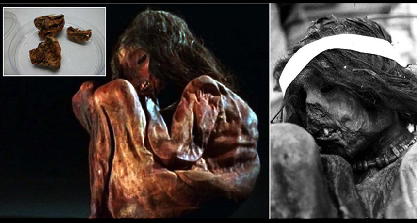 500-year-old mummified Incan boy