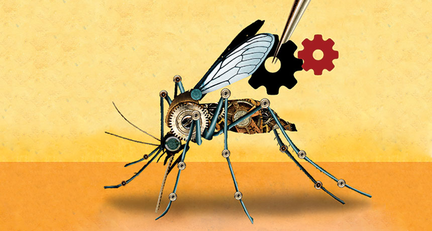 Gene drives spread their wings