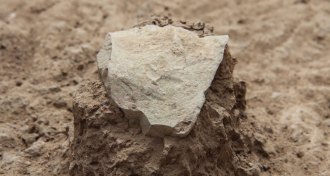 stone tool