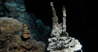 hydrothermal vents