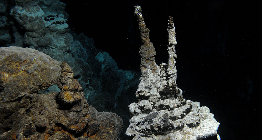 hydrothermal vents