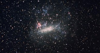 Large Magellanic Cloud