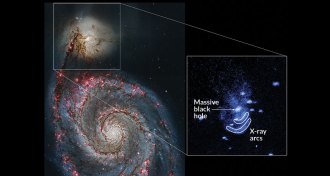 black hole and galaxies