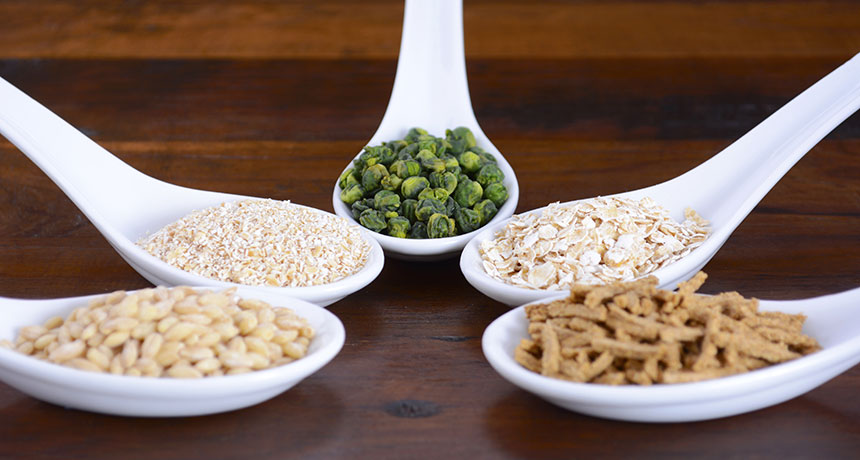 examples of high-fiber foods