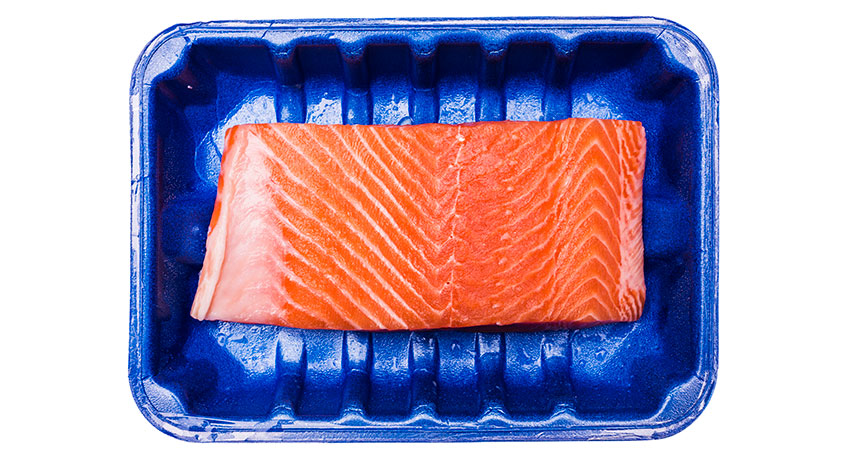 salmon