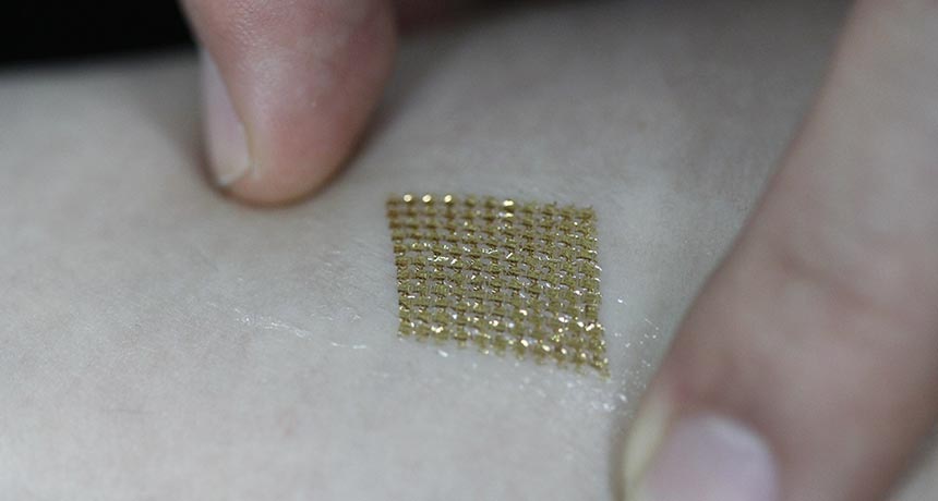 wearable heart rate monitor