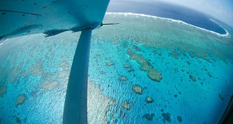 Great Barrier Reef Color Map