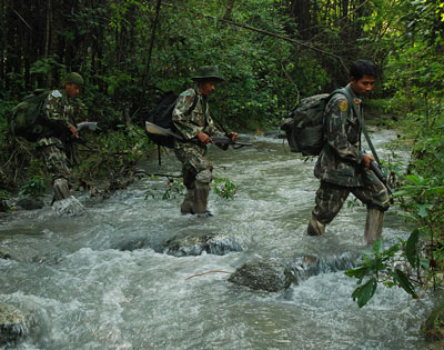 armed patrols looking for tiger poachers
