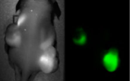 glowing nanoparticles