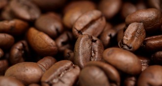 coffee beans