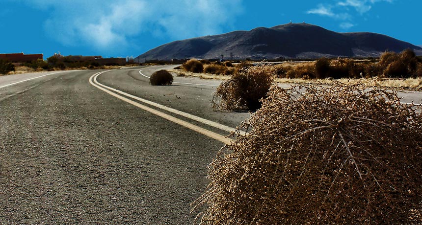 tumbleweeds
