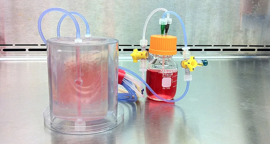 lab bioreactor used to grow bone graft