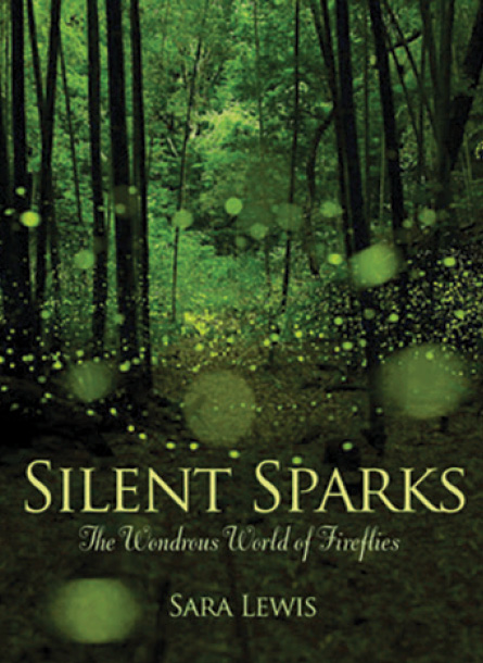 silent sparks