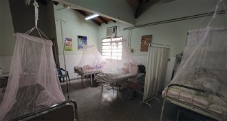 patients behind mosquito bed nets
