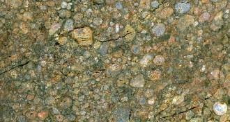 chondrules in a meteorite