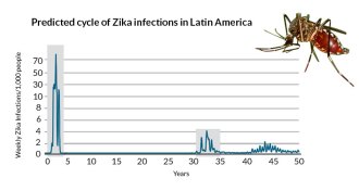 Zika virus in Latin America