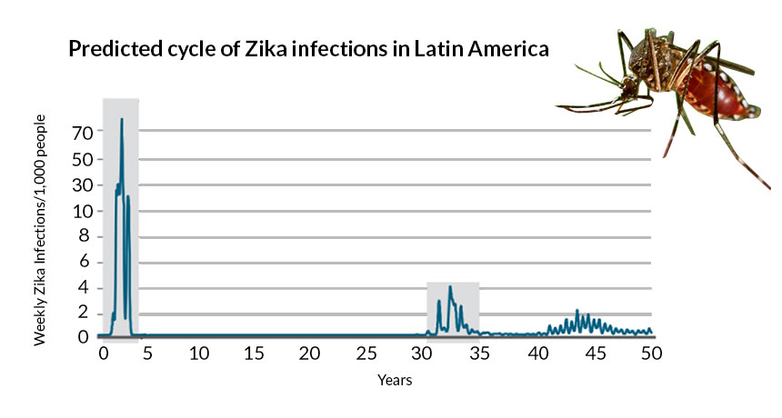Zika virus in Latin America