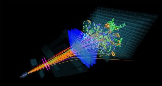 illustration of LHCb proton collision