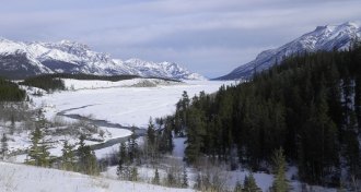 North American Arctic