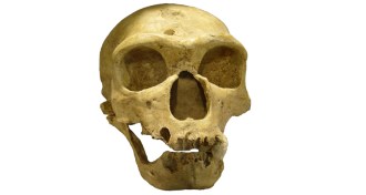 The Old Man of La Chapelle