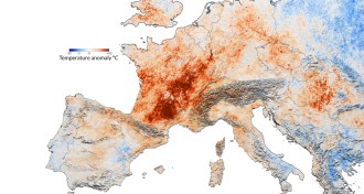 2003 European heat wave