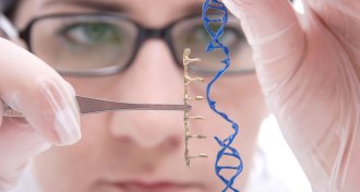 scientist cutting model of DNA