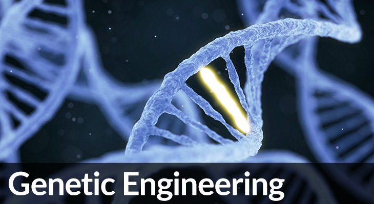 Genetic Engineering - illustration of DNA
