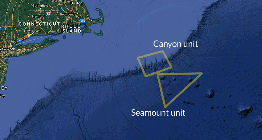 Northeast Canyons and Seamounts Marine National Monument
