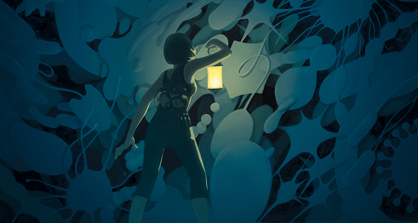 illustration of a dark environment