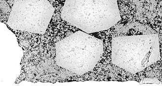 Mineral thin section