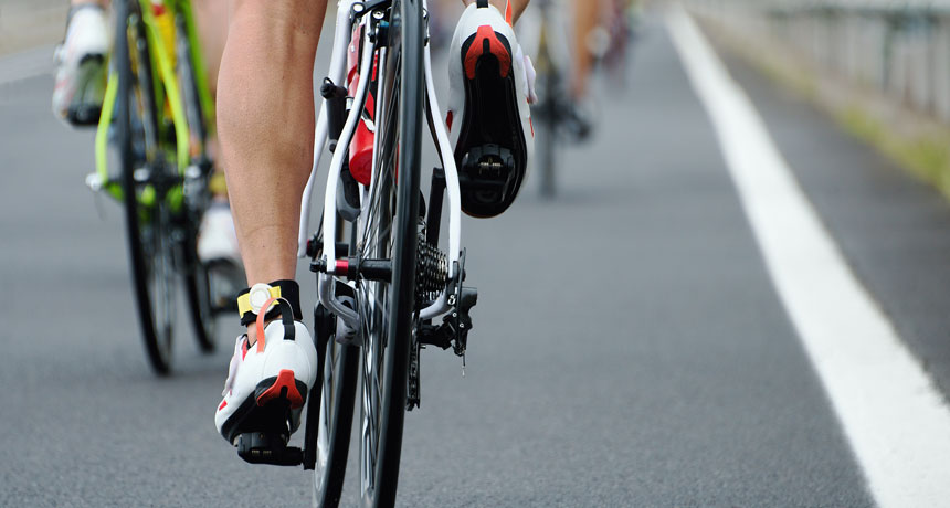 muscular legs of a bicyclist