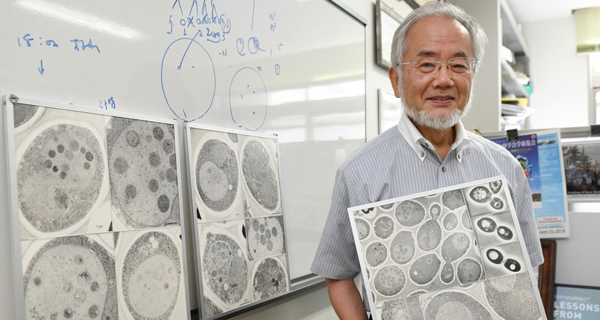 Yoshinori Ohsumi