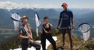 Cascades Butterfly Project