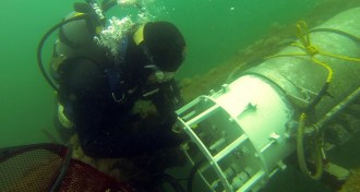researcher scuba diving