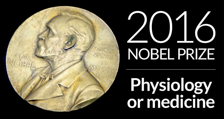 2016 nobel prize in physiology or medicine