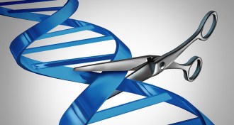 illustration of scissors cutting DNA
