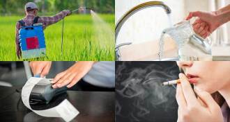 environmental exposures