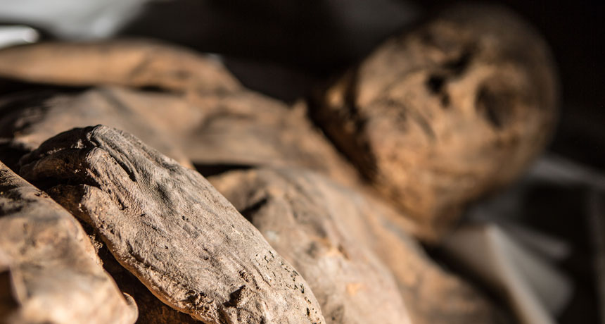 Mummy in Lithuanian crypt