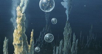 bubbles